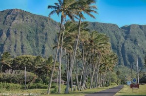 Welcome to Kalaupapa, Molokai