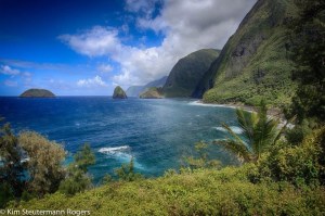 The Iconic Shot of Molokai's Famous Sea Cliffs