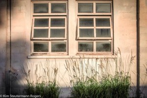 Windows in an Old Building at Kalaupapa