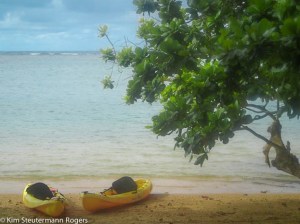 pair of kayaks on beach