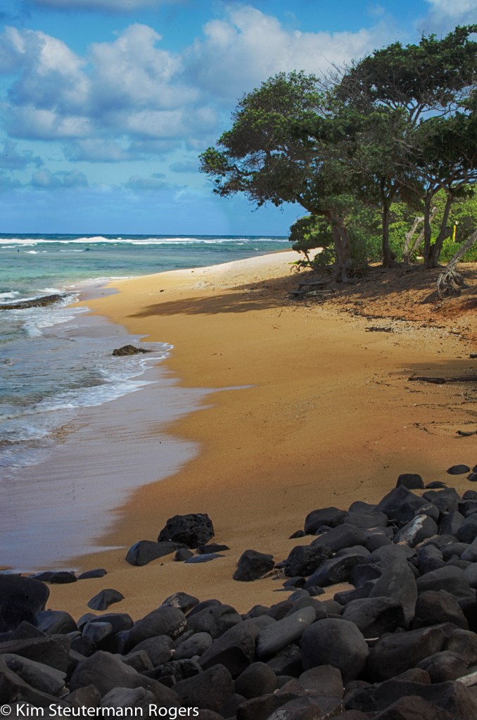 beach, hurricane, iselle