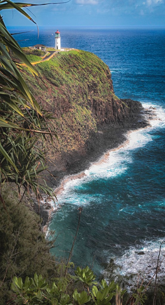 Kilauea Point