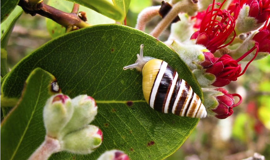 Screen Shot 2020-05-29 at 5.40.39 PM