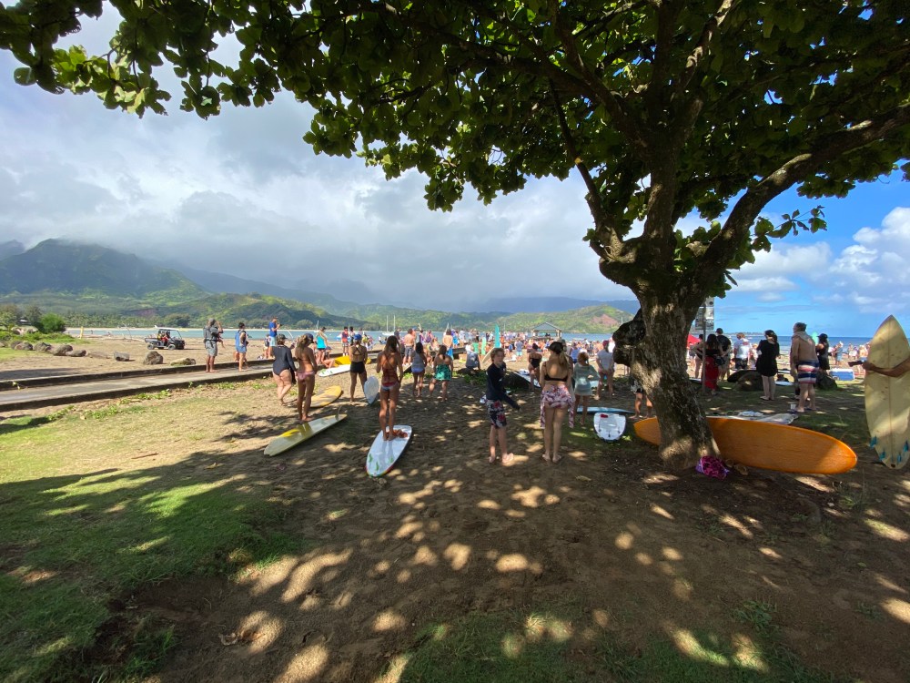 Hanalei Paddle Out Pule